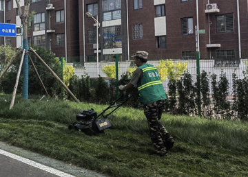 ?？低晥@區綠化養護